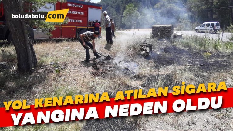 Yol kenarına atılan sigara yangına neden oldu