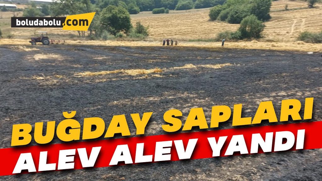 Balya yapılmayı bekleyen buğday sapları alev alev yandı Balya yapılmayı bekleyen buğday sapları alev alev yandı