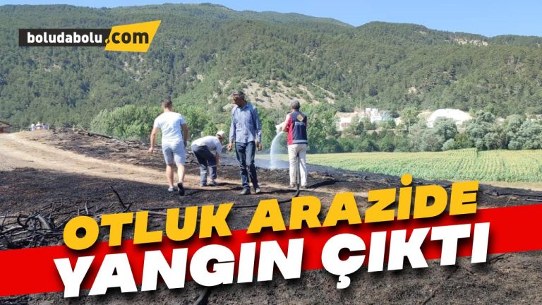 Bolu’da otluk arazide çıkan yangın söndürüldü