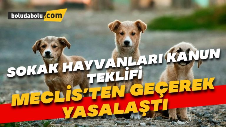 Sahipsiz sokak hayvanlarına ilişkin kanun teklifi TBMM Genel Kurulu’nda kabul edildi