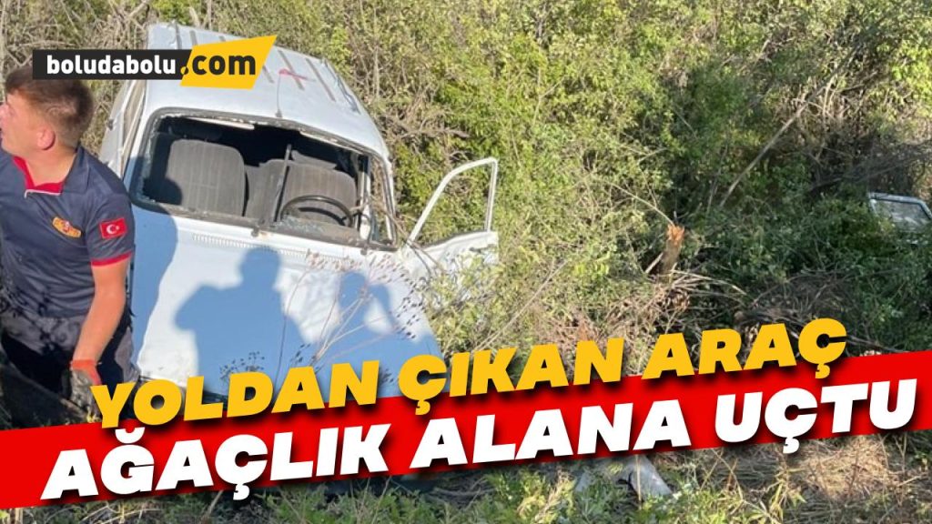 Yoldan çıkan araç ağaçlık alana uçtu Yoldan çıkan araç ağaçlık alana uçtu