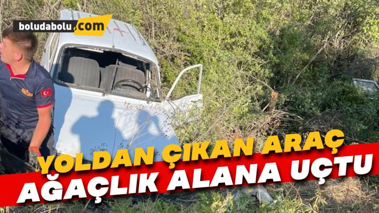 Yoldan çıkan araç ağaçlık alana uçtu