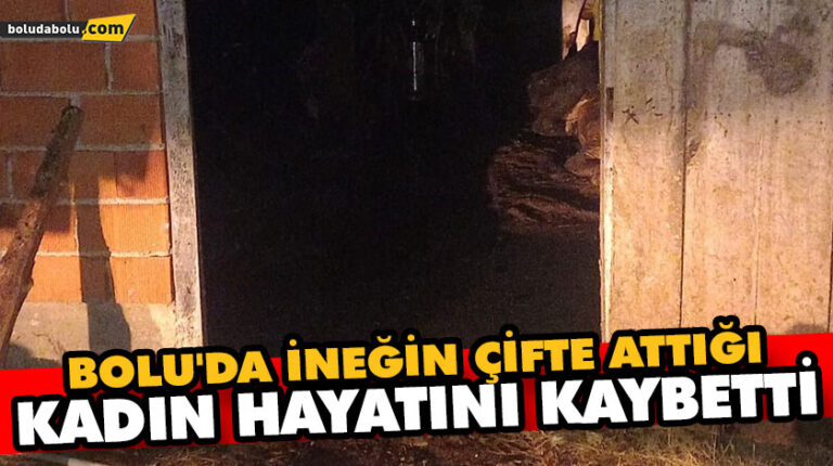 İneğin teptiği kadın öldü