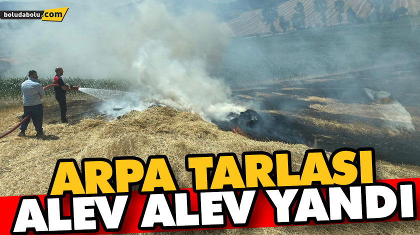 ARPA TARLASI ALEV ALEV YANDI ARPA TARLASI ALEV ALEV YANDI