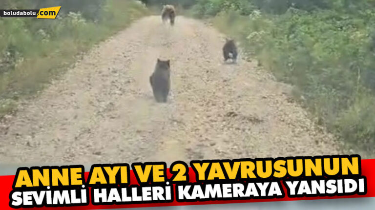 ANNE AYI VE 2 YAVRUSUNUN SEVİMLİ HALLERİ KAMERAYA YANSIDI