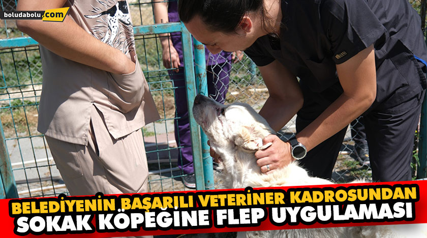 BELEDİYENİN BAŞARILI VETERİNER KADROSUNDAN SOKAK KÖPEĞİNE FLEP UYGULAMASI