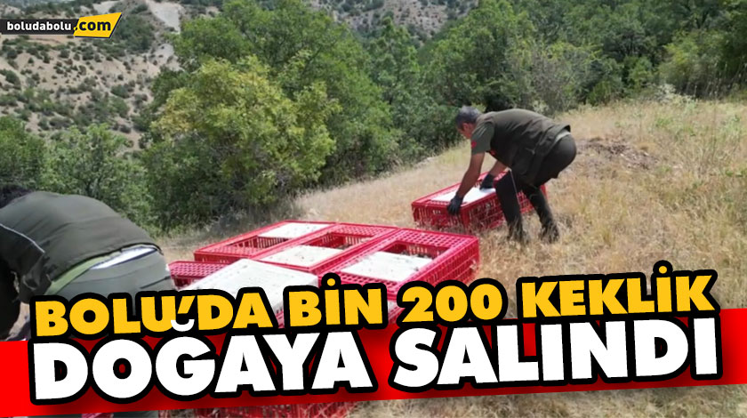 BOLU’DA BİN 200 KEKLİK DOĞAYA SALINDI BOLU’DA BİN 200 KEKLİK DOĞAYA SALINDI