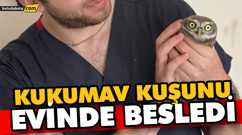 Kukumav kuşunu evinde besledi Kukumav kuşunu evinde besledi