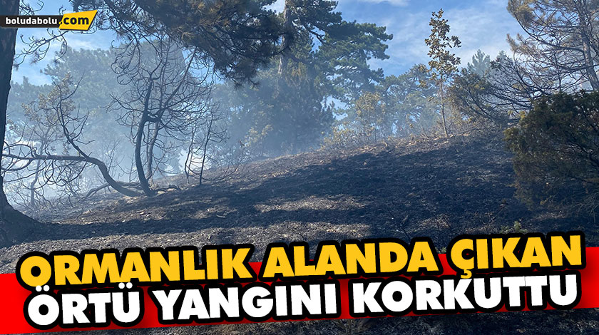 ORMANLIK ALANDA ÇIKAN ÖRTÜ YANGINI KORKUTTU
