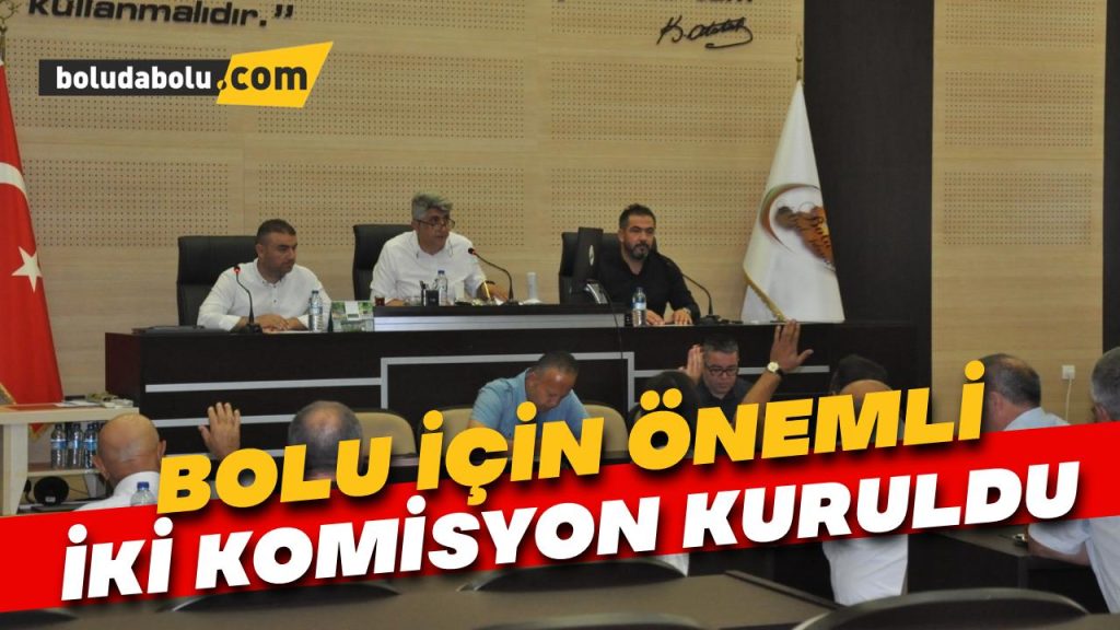 İl Genel Meclisi’nde Bolu için önemli iki komisyon kuruldu İl Genel Meclisi’nde Bolu için önemli iki komisyon kuruldu