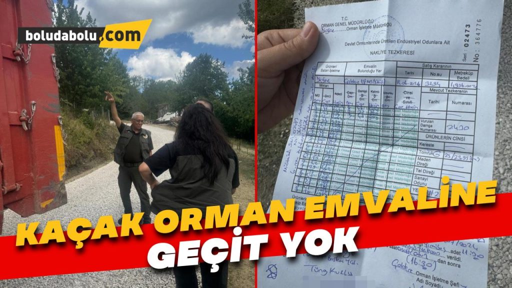 Bolu’da kaçak orman emvaline geçit yok