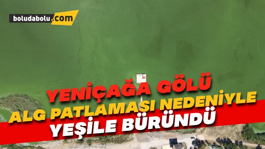 Yeniçağa Gölü alg patlaması nedeniyle renk değiştirdi Yeniçağa Gölü alg patlaması nedeniyle renk değiştirdi