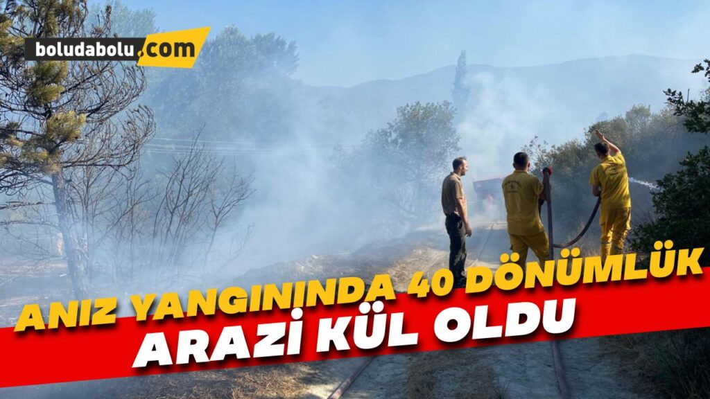 Anız yangınında 40 dönümlük arazi kül oldu Anız yangınında 40 dönümlük arazi kül oldu