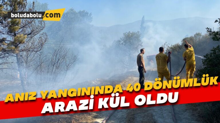 Anız yangınında 40 dönümlük arazi kül oldu