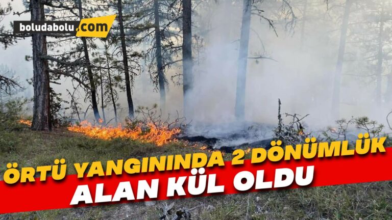 Bolu’da örtü yangınında 2 dönümlük alan kül oldu