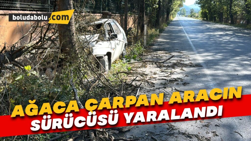 Ağaca çarpan otomobilin sürücüsü yaralandı