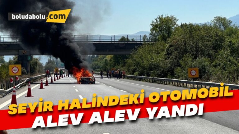 Seyir halindeki otomobil alev alev yandı