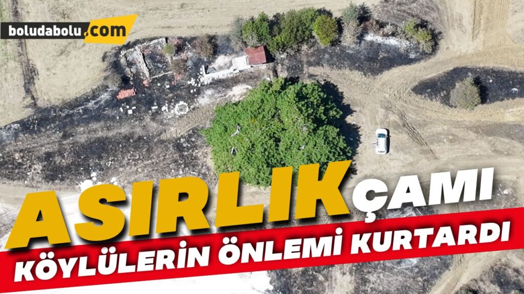 Bolu’daki orman yangınında köylülerin önlemi asırlık ağacı yanmaktan kurtardı