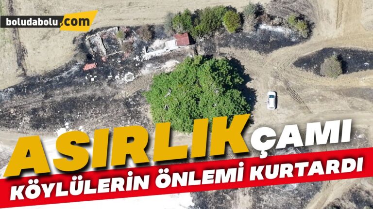 Bolu’daki orman yangınında köylülerin önlemi asırlık ağacı yanmaktan kurtardı