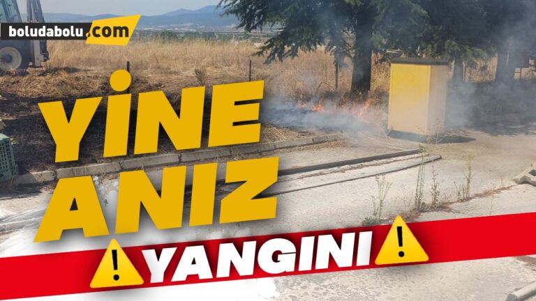Akaryakıt istasyonunun yanında anız yangını çıktı