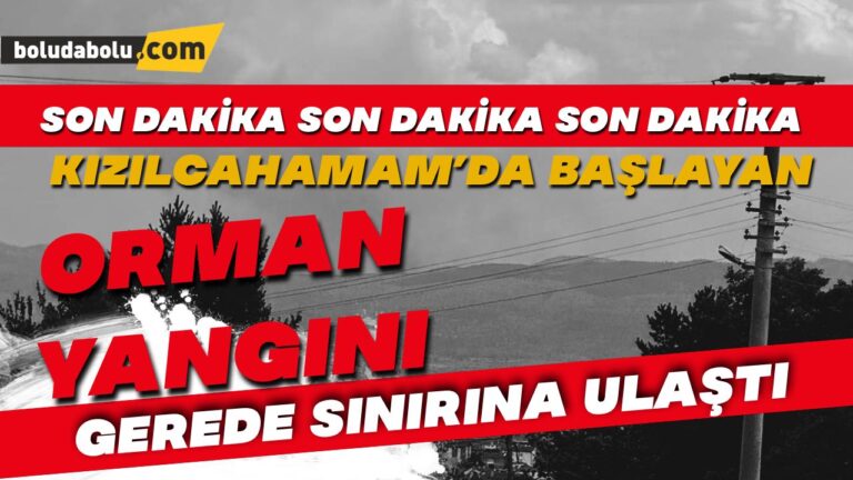 Ankara’da başlayan yangın Bolu’ya sıçradı