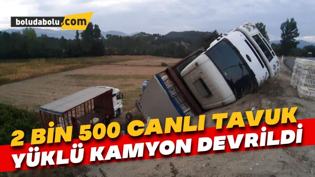 2 bin 500 canlı tavuk yüklü kamyon virajı alamayarak devrildi 2 bin 500 canlı tavuk yüklü kamyon virajı alamayarak devrildi