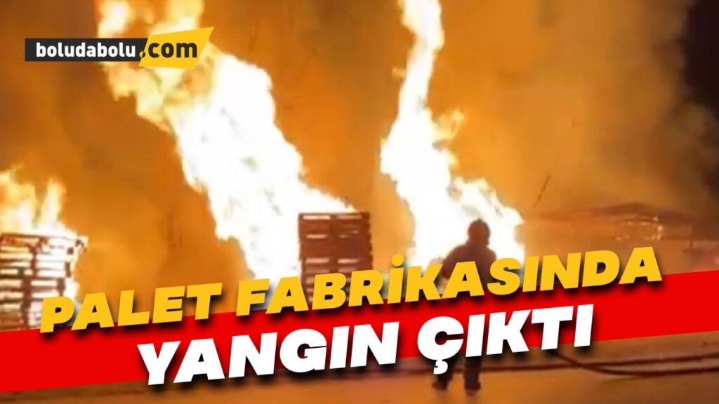 Palet fabrikasında çıkan yangının alevleri geceyi aydınlattı Palet fabrikasında çıkan yangının alevleri geceyi aydınlattı