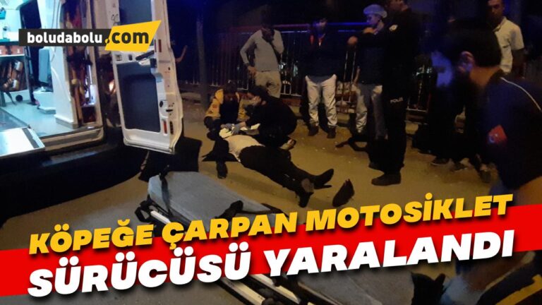 Köpeğe çarpan motosiklet devrildi, sürücü yaralandı
