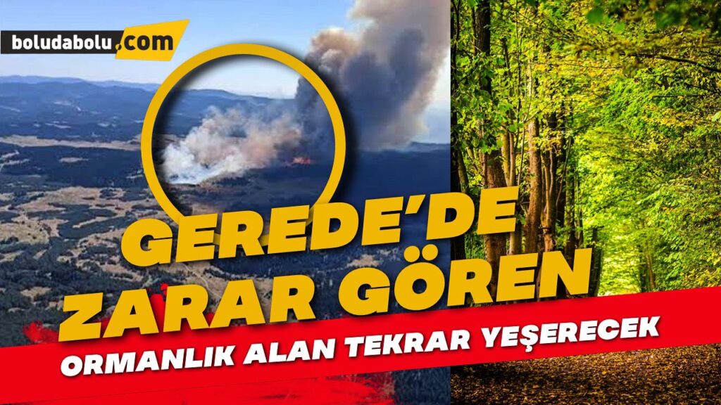 Bolu’da orman yangınında zarar gören alanlar ağaçlandırılacak
