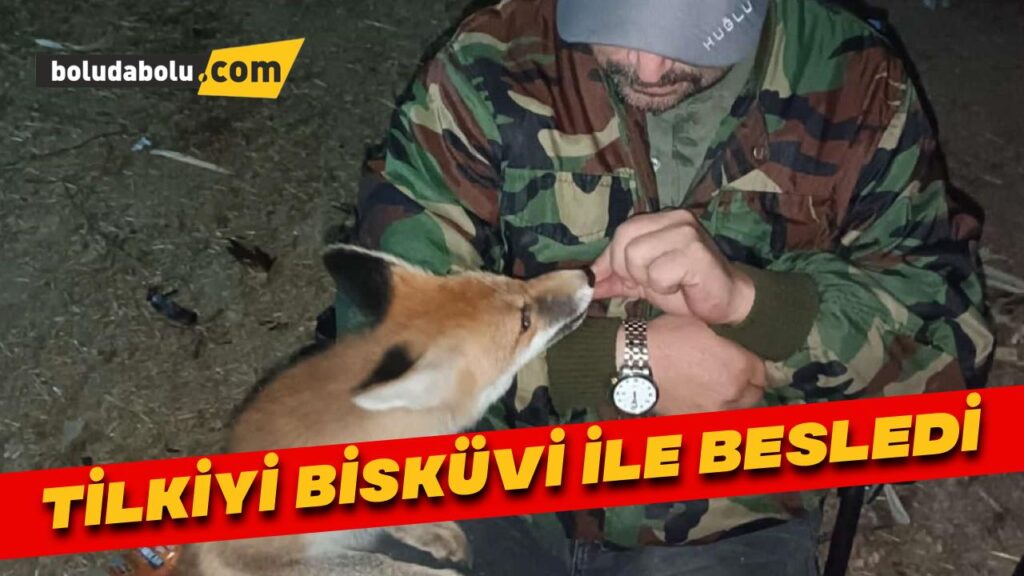 Tilkiyi bisküvi ile besledi Tilkiyi bisküvi ile besledi
