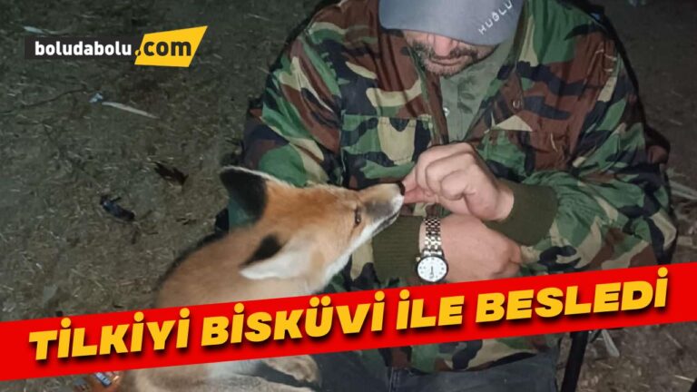 Tilkiyi bisküvi ile besledi