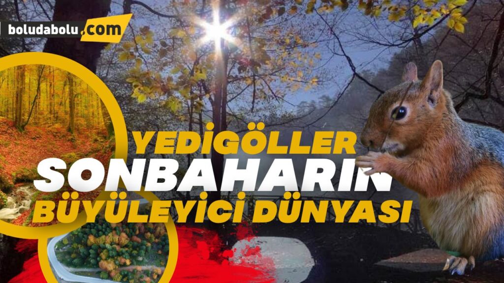 Yedigöller’de sonbahar mevsimi görsel şölen sunuyor Yedigöller’de sonbahar mevsimi görsel şölen sunuyor