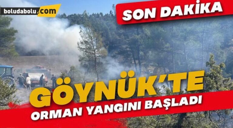 Ot yangını ormana sıçradı, erken müdahale faciayı önledi