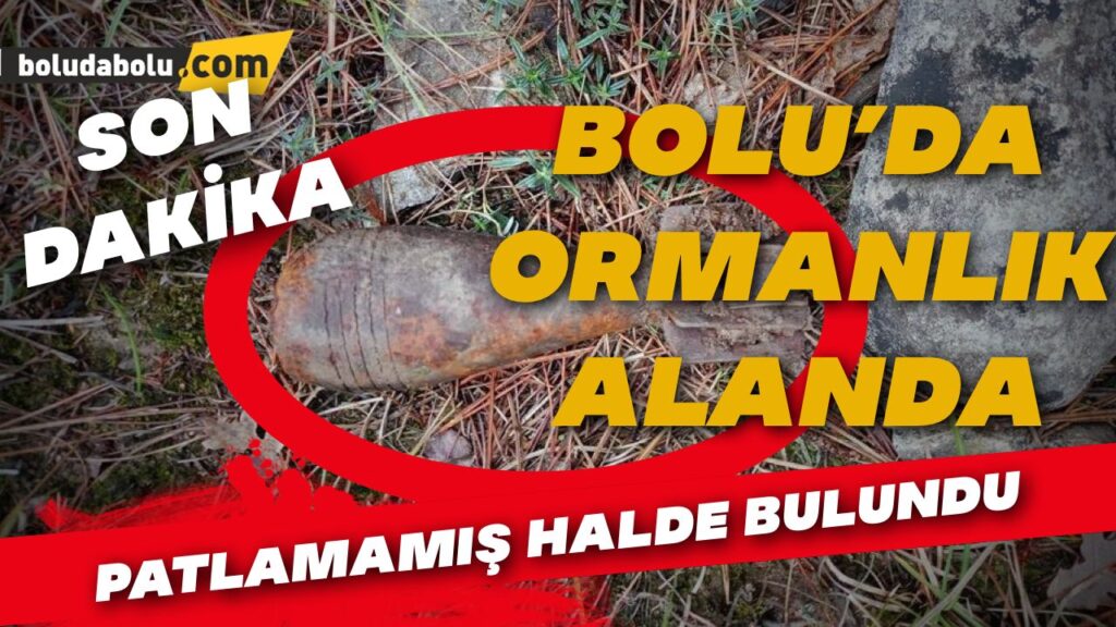 Ormanda küflenmiş ve patlamamış halde havan topu mermisi bulundu Ormanda küflenmiş ve patlamamış halde havan topu mermisi bulundu