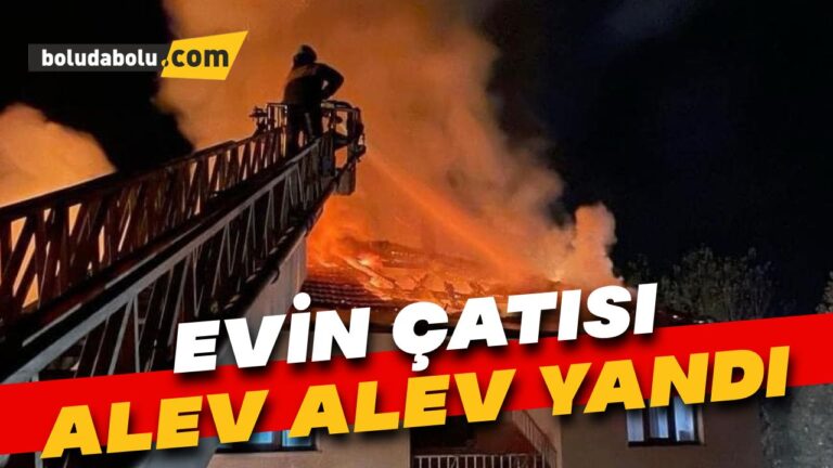 Evin çatısı alev alev yandı
