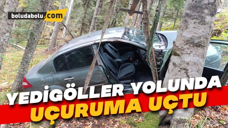 Yedigöller yolunda otomobil ormanlık alana uçtu