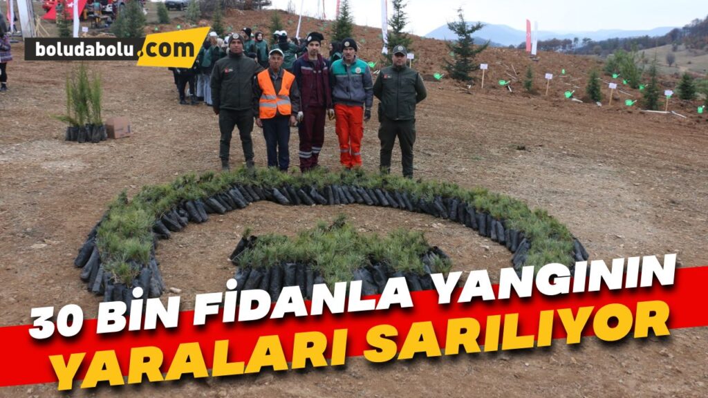 Bolu’da 30 bin fidanla yangınların yaraları sarılıyor Bolu’da 30 bin fidanla yangınların yaraları sarılıyor