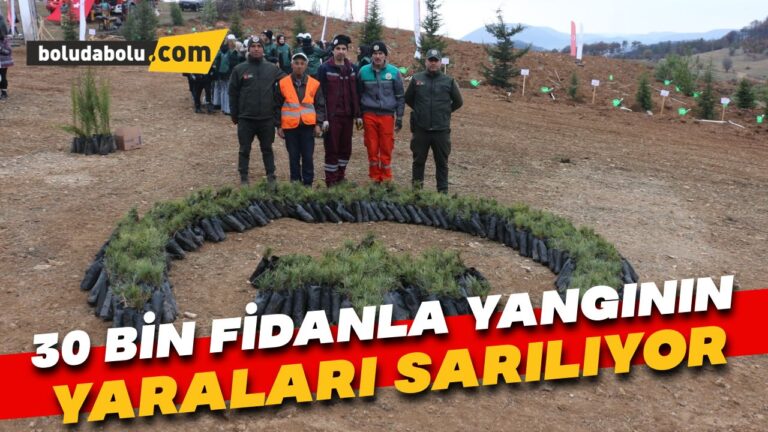 Bolu’da 30 bin fidanla yangınların yaraları sarılıyor