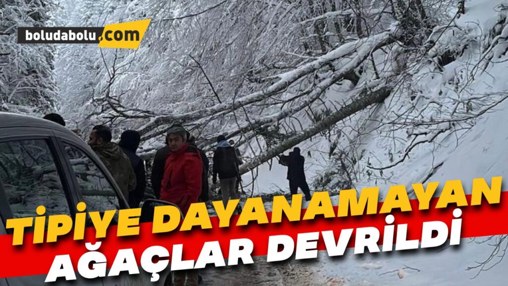 Kar ve tipiye dayanmayan ağaçlar Gölcük Tabiat Parkı yoluna devrildi Kar ve tipiye dayanmayan ağaçlar Gölcük Tabiat Parkı yoluna devrildi