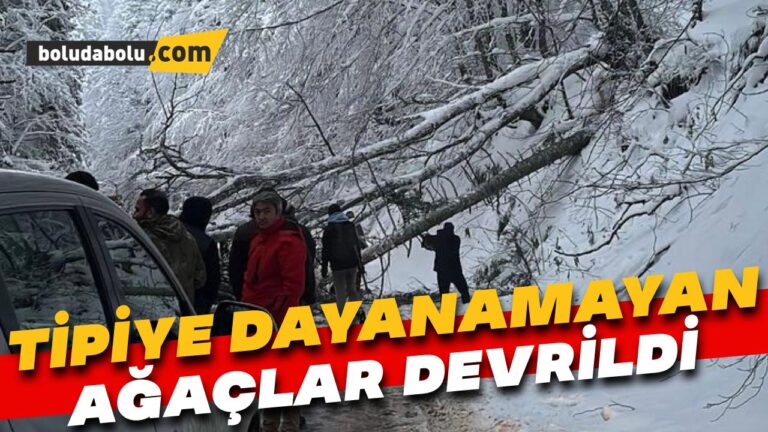 Kar ve tipiye dayanmayan ağaçlar Gölcük Tabiat Parkı yoluna devrildi