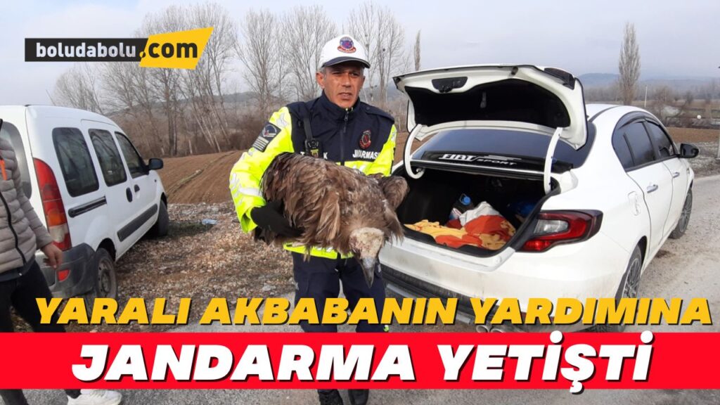 Ölmek üzere olan yaralı akbabanın yardımına jandarma yetişti Ölmek üzere olan yaralı akbabanın yardımına jandarma yetişti