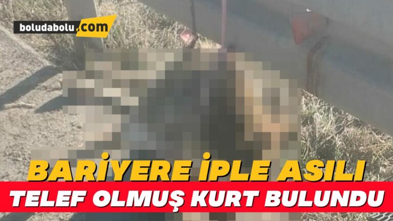 Demir bariyere iple asılı halde telef olmuş kurt bulundu