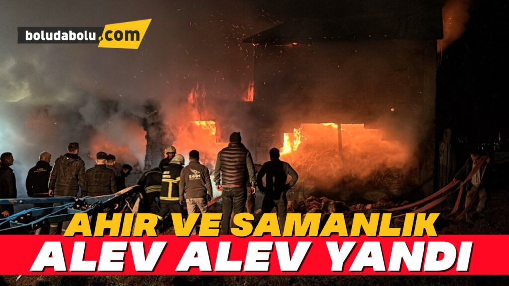 Bolu’da ahır ve samanlık alev alev yandı Bolu’da ahır ve samanlık alev alev yandı