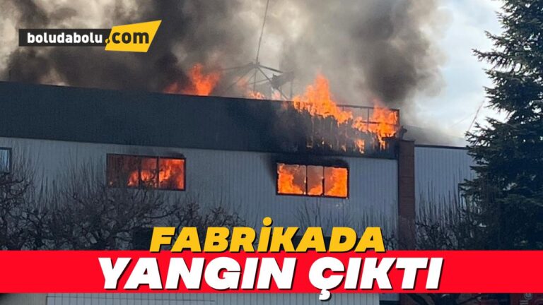 Bolu’da fabrikada yangın
