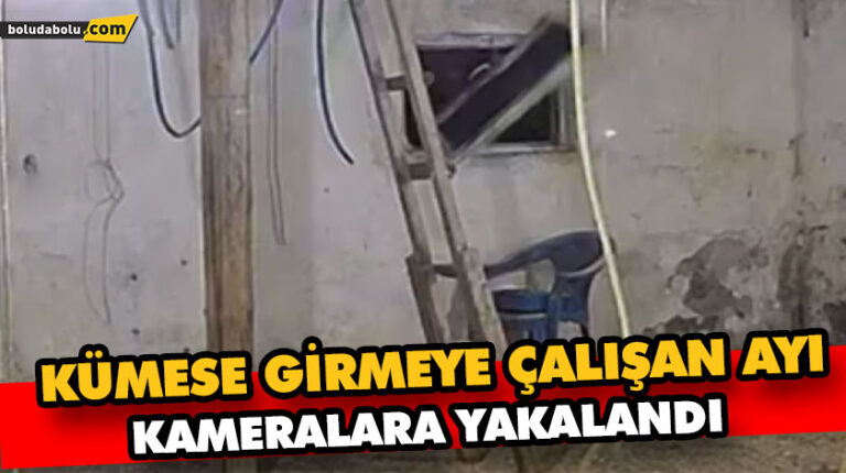 Bolu’da kümese girmeye çalışan ayı kamerada