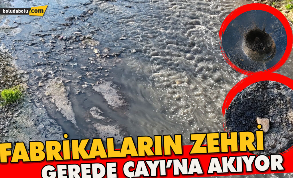 Fabrikaların zehrini kustuğu dere can çekişiyor Fabrikaların zehrini kustuğu dere can çekişiyor
