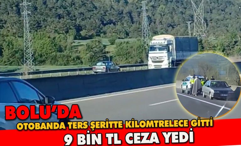 TEM’de kilometrelerce mesafe ters şeritten gitti: 9 bin TL ceza yedi