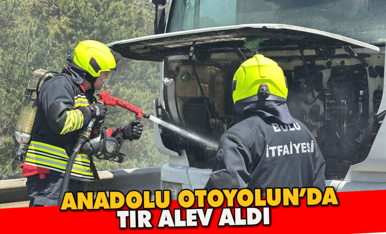 TEM’de alev alan tır, erken müdahaleyle söndürüldü