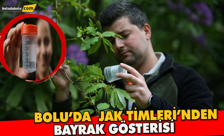 4 bin adet savaşçı böcek salındı