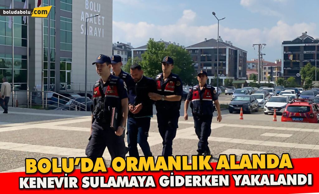 Ormanlık alanda yetiştirdiği kenevirleri sulamaya giderken yakalandı Ormanlık alanda yetiştirdiği kenevirleri sulamaya giderken yakalandı